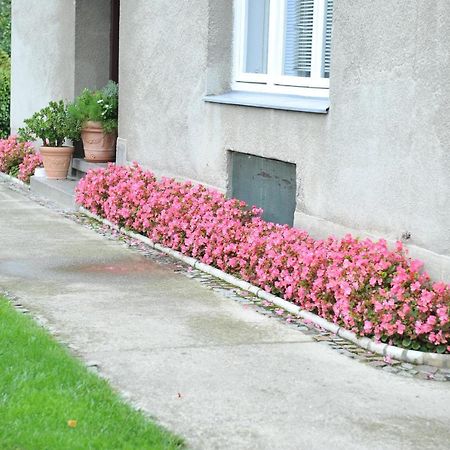 Studio Apartman D&D Varaždin Exteriör bild